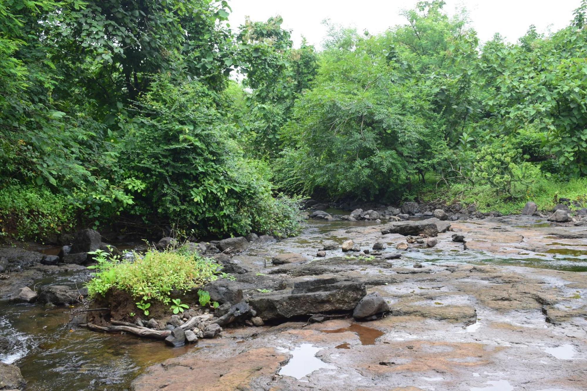 Spring Farm Ville Alibag Exterior photo